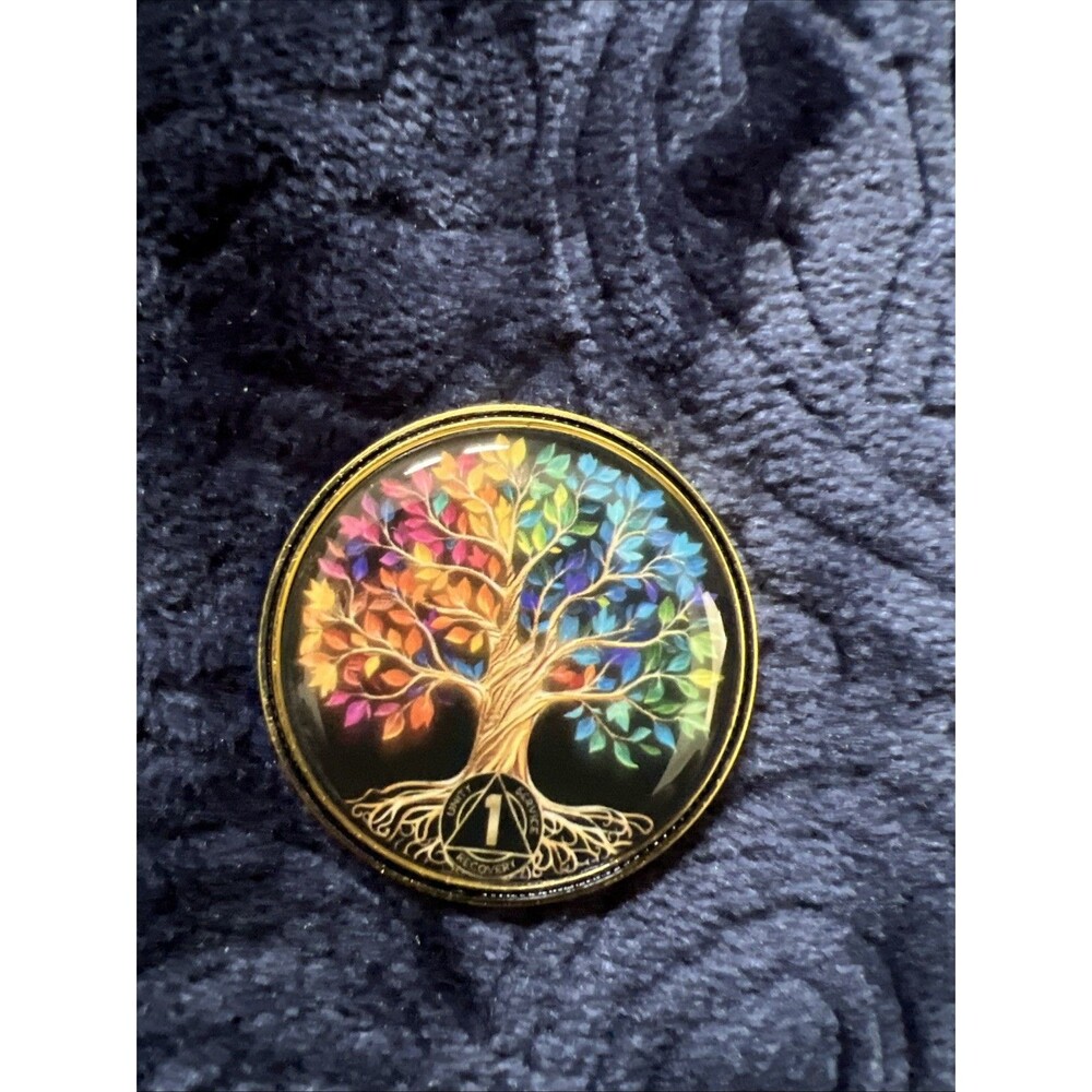 AA NA 1 Month/Year Sobriety Coin/Medallion; Encouragement, Recovery Gift